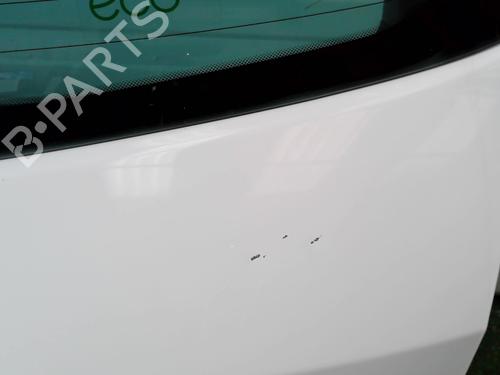 Tailgate RENAULT CLIO III (BR0/1, CR0/1) 1.5 dCi (C/BR0G, C/BR1G) | BP29425901C6 
