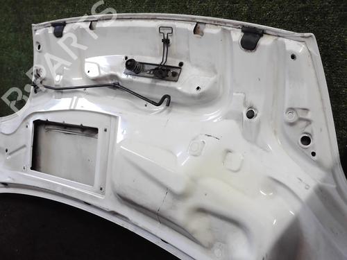 Hood NISSAN PRIMASTAR Van (X83) 2.0 dCi 115 | BP25639021C1 