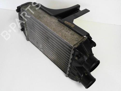 Intercooler FIAT BRAVO I (182_) 1.9 TD 75 S (182.AF) | BP25638145M30 