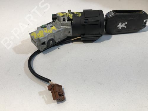 Electronic module PEUGEOT 208 I (CA_, CC_) 1.5 BlueHDI 100 | BP29725166M83 