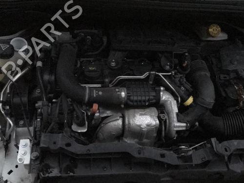 Front right seatbelt CITROËN C3 II (SC_) 1.4 HDi 70 (SC8HZC, SC8HR0, SC8HP4) | BP29528541I25  - Image 29