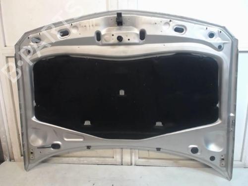Used Hood Hood RENAULT LAGUNA II (BG0/1_) 2.2 dCi (BG0F) (150 hp) 25635853 25635853