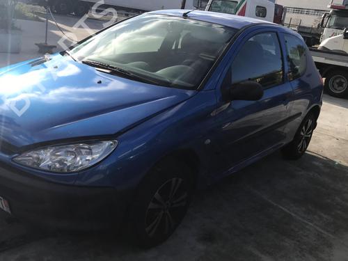 Right front door PEUGEOT 206 Hatchback (2A/C) 1.4 HDi eco 70 | BP25642058C3 