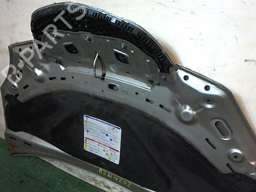 Hood LANCIA MUSA (350_) 1.9 D Multijet (350.AXC1A) | BP25650728C1 