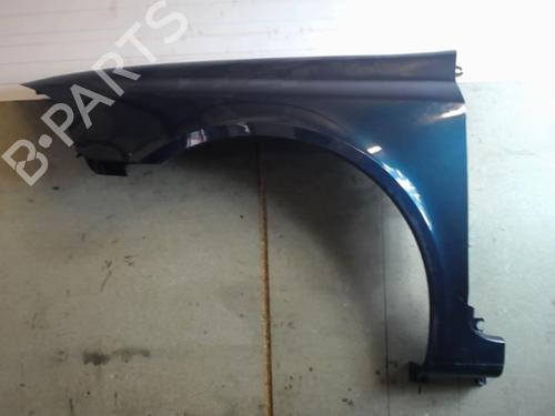 Left front fenders RENAULT LAGUNA II (BG0/1_) 1.9 dCi (BG1A, BG1W, BG0G) | BP25645560C41 