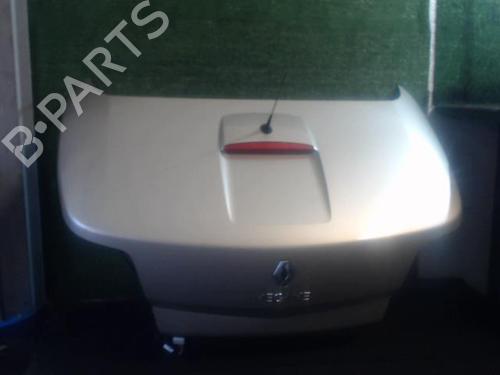 Used Tailgate RENAULT MEGANE II Coupé-Cabriolet (EM0/1_) 1.9 dCi (131 hp) 25647603