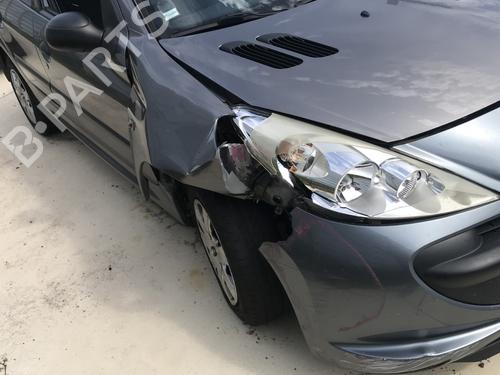 Right front door PEUGEOT 206+ (2L_, 2M_) 1.4 i | BP28976294C3 