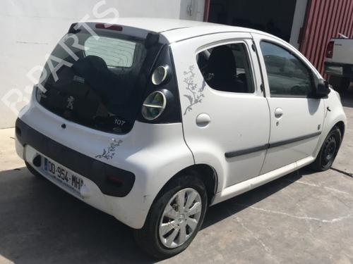 Tailgate PEUGEOT 107 (PM_, PN_) 1.0 | BP25636485C6