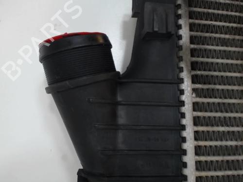 Used Intercooler Intercooler OPEL SIGNUM Hatchback (Z03) 3.0 V6 CDTI (F48) (177 hp) 25645860 25645860