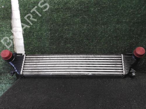Used Intercooler FIAT 500L (351_, 352_) 1.6 D Multijet (199LYE1B) (120 hp) 25636537