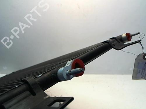 Used AC radiator AC radiator RENAULT LAGUNA II (BG0/1_) [2001-2007] 25647131 25647131