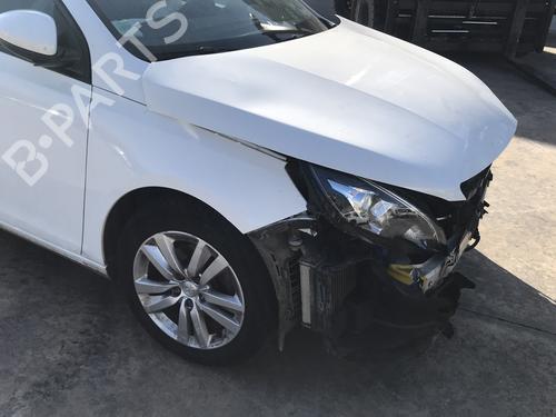 Interior roof light PEUGEOT 308 SW II (LC_, LJ_, LR_, LX_, L4_) 1.5 BlueHDi 100 | BP25634322I8