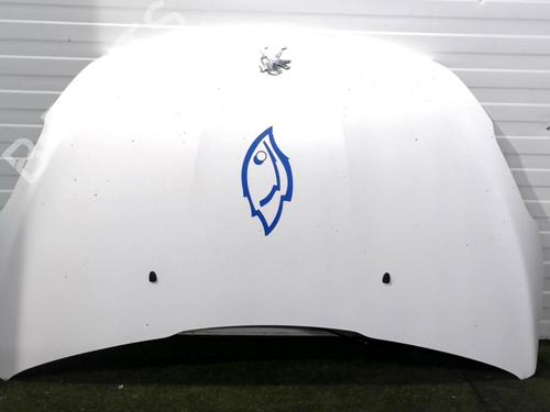 Panser PEUGEOT 208 I (CA_, CC_) 1.6 HDi / BlueHDi 75 (75 hp) 31631290