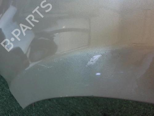 Used Left front fenders LANCIA MUSA (350_) 1.9 D Multijet (350.AXC1A) (101 hp) 25650729