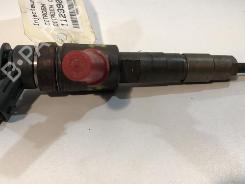 Injector CITROËN C3 II (SC_) 1.6 BlueHDi 100 | BP29352250M100 