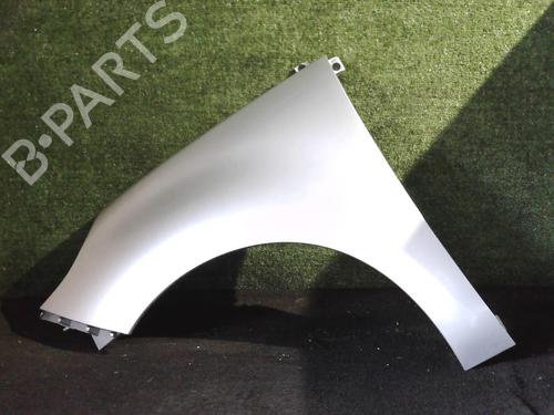 Used Left front fenders RENAULT SCÉNIC III (JZ0/1_) 1.5 dCi (110 hp) 25636435