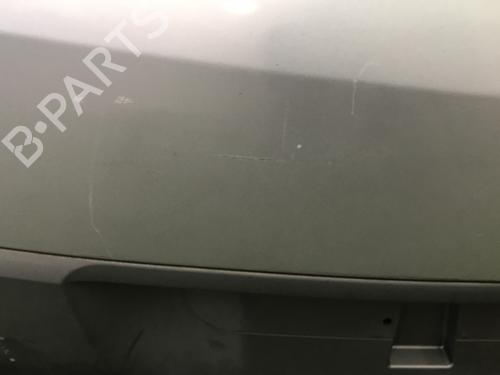 Tailgate RENAULT SCÉNIC II (JM0/1_) 1.9 dCi (JM0G, JM12, JM1G, JM2C) | BP30174263C6 