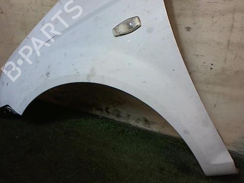 Left front fenders HYUNDAI GETZ (TB) 1.1 | BP25650720C41 