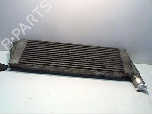 Used Intercooler Intercooler RENAULT SCÉNIC II (JM0/1_) [2003-2010] 25651432 25651432