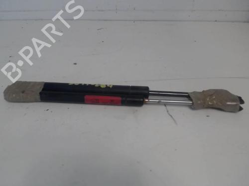 Used Hood lift support CHRYSLER 300C (LX, LE) 3.0 V6 CRD (211 hp) 25643307