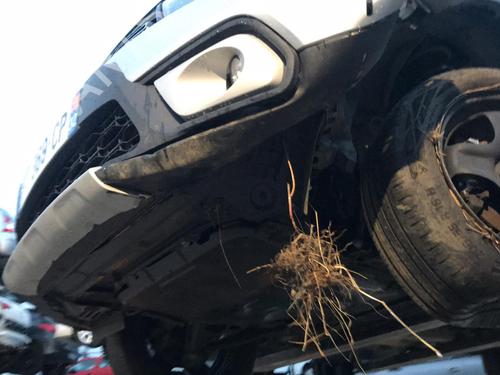 AC compressor DACIA SANDERO II 1.5 Blue dCi 95 (B8JL) | BP25648156M34  - Image 47