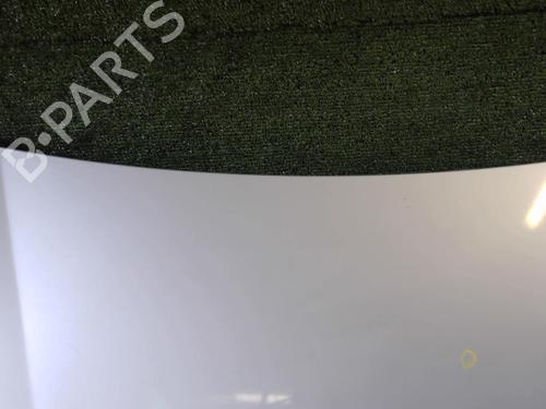 Hood PEUGEOT BIPPER (AA_) 1.4 HDi | BP25639608C1