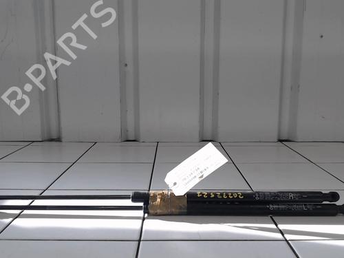 tailgate-lift-support-renault-koleos-i-hy_-2008-25641992 main image