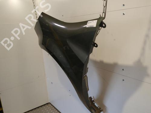 Left front fenders RENAULT MODUS / GRAND MODUS (F/JP0_) 1.4 (JP01, JP0J) | BP25659376C41 
