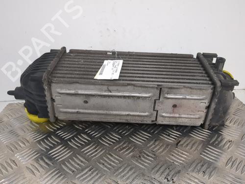 Intercooler CITROËN C4 I (LC_) 2.0 HDi | BP25656542M30 