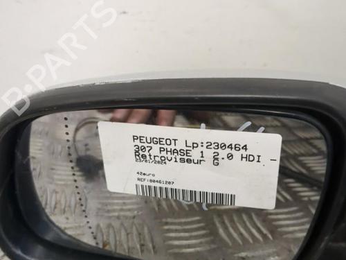 Used Left mirror PEUGEOT 307 (3A/C) 2.0 HDi 110 (107 hp) 25658916