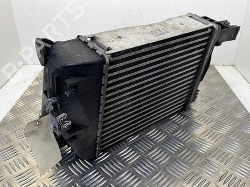 Intercooler RENAULT CAPTUR I (J5_, H5_) 1.2 TCe 120 (118 hp) 25656591