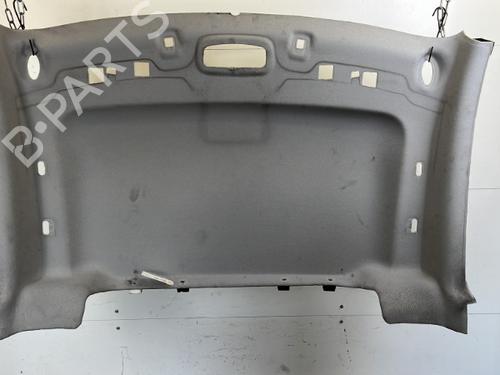 Interior roof FORD TRANSIT CONNECT V408 Box Body/MPV 1.6 TDCi NC