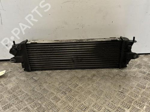 Intercooler NISSAN PRIMASTAR Van (X83) 2.0 dCi 115 | BP25660589M30 