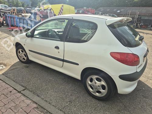 Venstre  foran tåkelykt PEUGEOT 206 Hatchback (2A/C) 1.4 i | BP25656587C30 