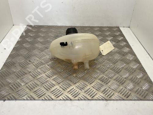 Expansion tank RENAULT TWINGO III (BCM_, BCA_) 0.9 TCe 90 (BCM9, BCM2) | BP25656876C120 