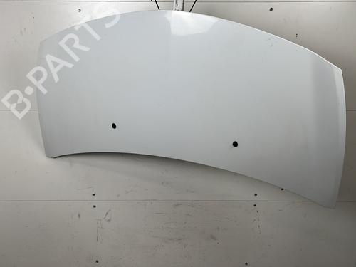 Used Hood RENAULT CLIO III (BR0/1, CR0/1) 1.5 dCi (BR17, CR17) (86 hp) 25660051
