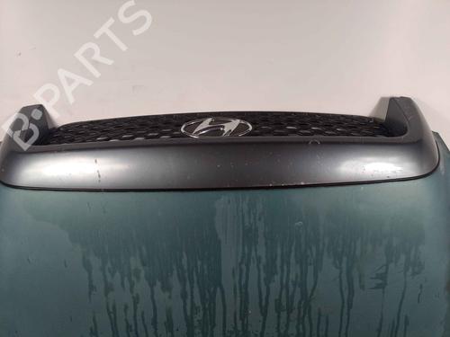 Hood HYUNDAI SANTA FÉ I (SM) 2.0 CRDi 4x4 | BP29012055C1 