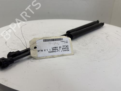 Pansergassdemper RENAULT MEGANE IV Hatchback (B9A/M/N_) 1.5 dCi 110 (B9A3) (110 hp) 25658100