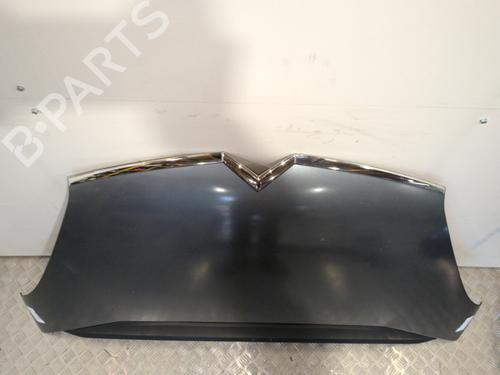 Hood CITROËN C4 Grand Picasso I (UA_) 1.6 HDi | BP25659183C1
