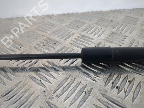 Hood lift support DACIA SANDERO II 1.2 | BP25660154C139 