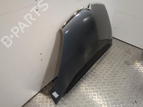 Hood CITROËN C4 Grand Picasso I (UA_) 1.6 HDi | BP25659183C1