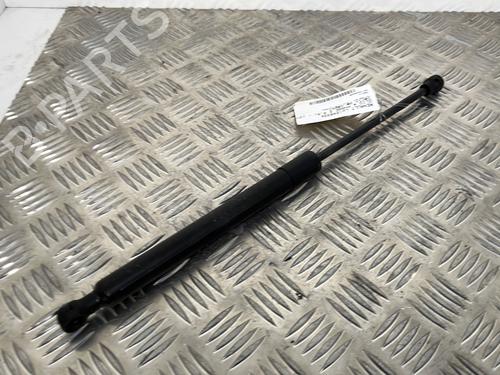 Hood lift support RENAULT CLIO IV (BH_) 0.9 TCe 90 (BHNF, BHMA, BHMH, BHJK, BHJR) | BP25656601C139 