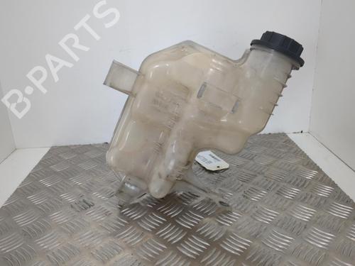 Expansion tank LAND ROVER RANGE ROVER SPORT I (L320) 3.0 D 4x4 | BP25659235C120 