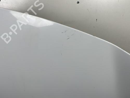 Hood RENAULT CLIO III (BR0/1, CR0/1) 1.5 dCi (BR17, CR17) | BP25660051C1 