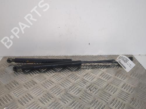 Tailgate lift support DACIA SANDERO II 1.2 | BP25660155C138