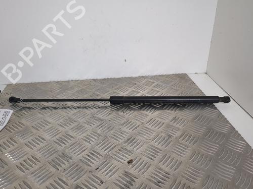 Hood lift support DACIA SANDERO II 1.2 | BP25660154C139 
