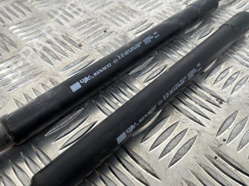 tailgate-lift-support-renault-clio-iv-bh_-2012-2013-2014-2015-2016-2017-2018-2019-2020-2021-25655059 main image