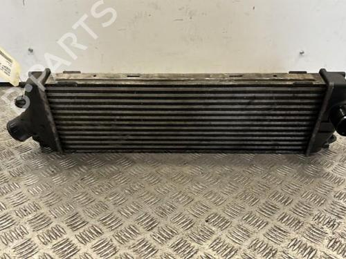 Intercooler NISSAN PRIMASTAR Van (X83) 2.0 dCi 115 | BP25660589M30 
