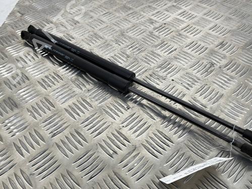 Tailgate lift support PEUGEOT 208 I (CA_, CC_) 1.6 HDi / BlueHDi 75 | BP25655076C138