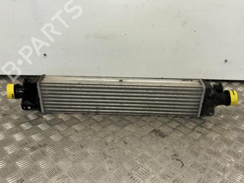 Used Intercooler OPEL CORSA D (S07) 1.6 Turbo (L08, L68) (211 hp) 25659028